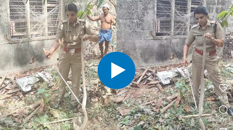 Viral video : चक्क महिला पोलीस अधिकाऱ्याने साप पकडल्याचा व्हिडिओ सोशल मीडियावर व्हायरल
