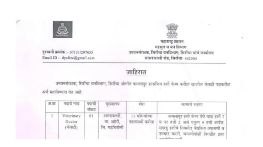 महाराष्ट्र वनविभाग' मध्ये रिक्त पदासाठी जाहिरात प्रसिद्ध | आजचं अर्ज दाखल करा